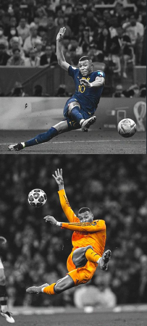 站位路线 站位路线